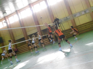 DSCN9937